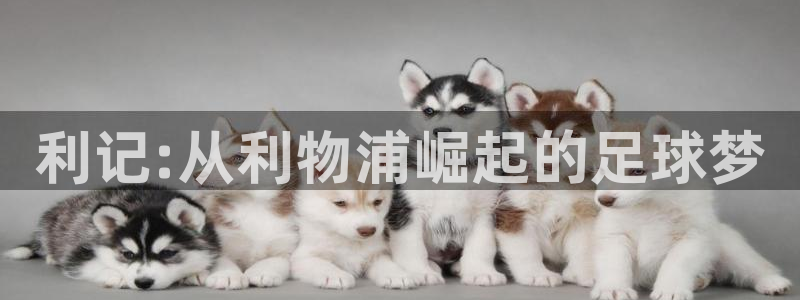 永盈科技
