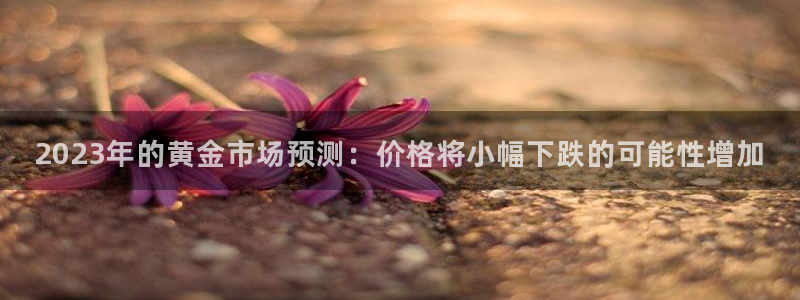东莞市永盈玩具科技有限公司