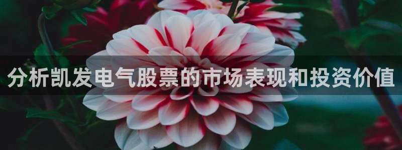 科锦永盈