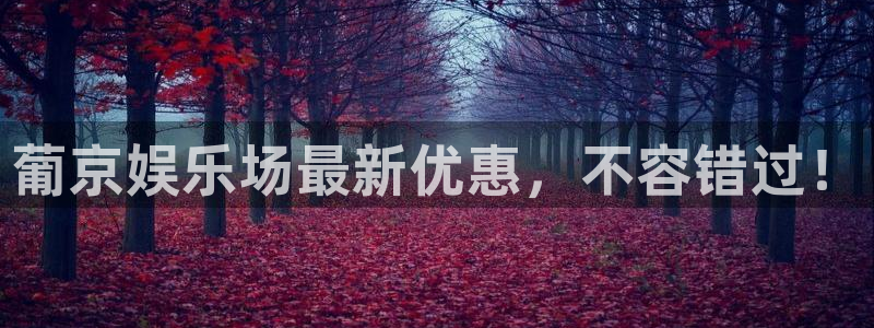 永盈棋牌69066mooc网页版