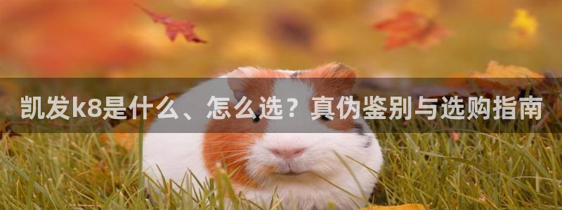 深圳市永盈电子有限公司