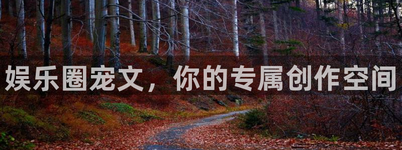 东莞市永盈电子有限公司：娱乐圈宠文，你的专属创作空间