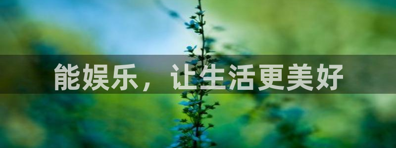 永盈：能娱乐，让生活更美好