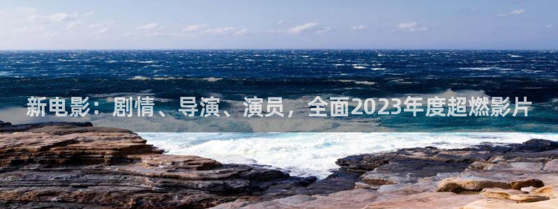 深圳市永盈电子有限公司：新电影：剧情、导演、演员，全面2023年度超燃影片