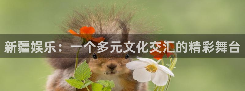 永盈最新玩法：新疆娱乐：一个多元文化交汇的精彩舞台