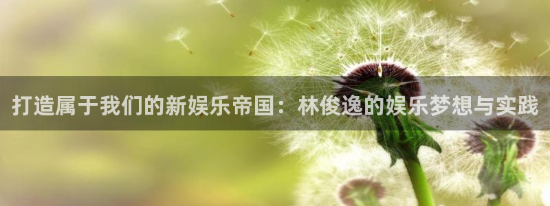 永盈棋牌3622mooc：打造属于我们的新娱乐帝国：林俊逸的娱乐梦想与实践