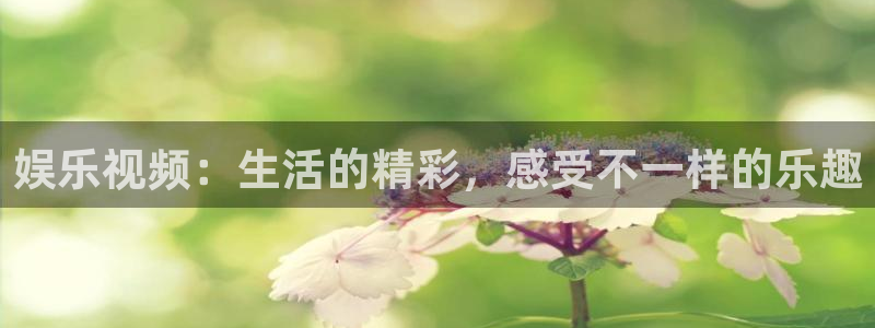 永盈棋：娱乐视频：生活的精彩，感受不一样的乐趣