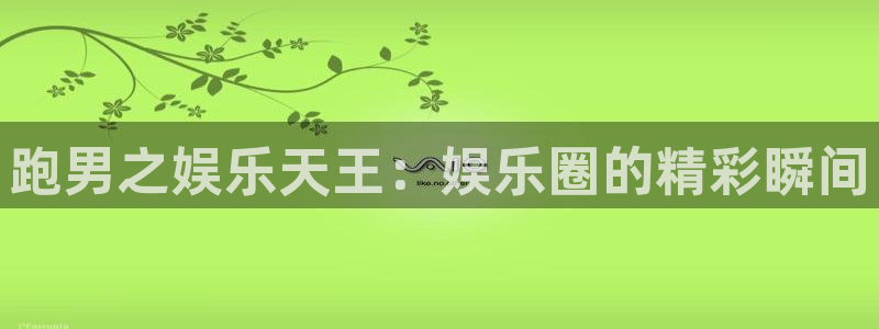 永盈陶瓷有限公司：跑男之娱乐天王：娱乐圈的精彩瞬间