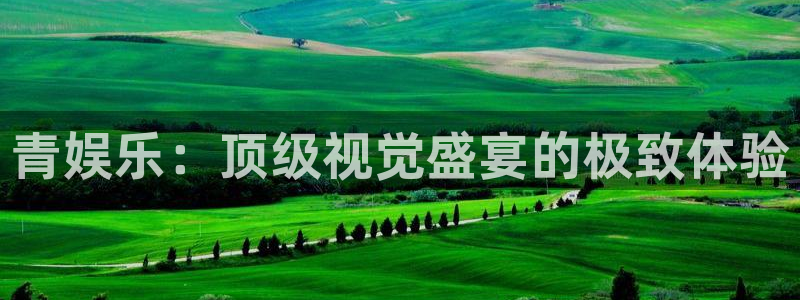 深圳市永盈电子有限公司：青娱乐：顶级视觉盛宴的极致体验