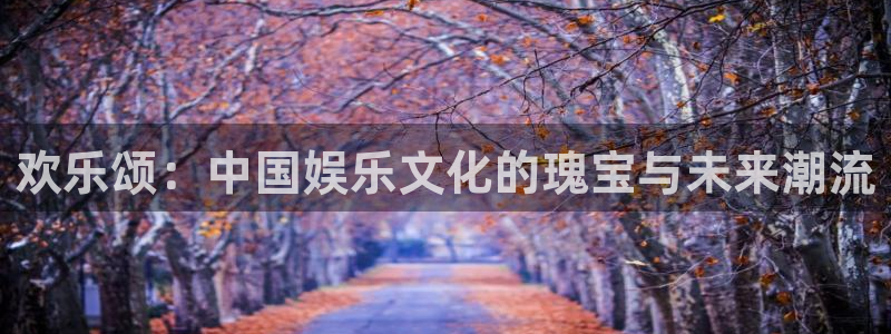 永盈网址：欢乐颂：中国娱乐文化的瑰宝与未来潮流