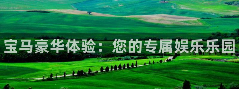 69066永盈：宝马豪华体验：您的专属娱乐乐园