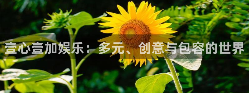 诚达永盈：壹心壹加娱乐：多元、创意与包容的世界