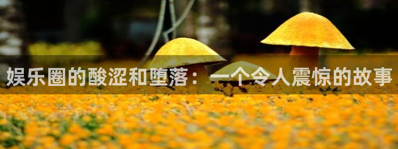 佛山市永盈陶瓷有限公司：娱乐圈的酸涩和堕落：一个令人震惊的故事