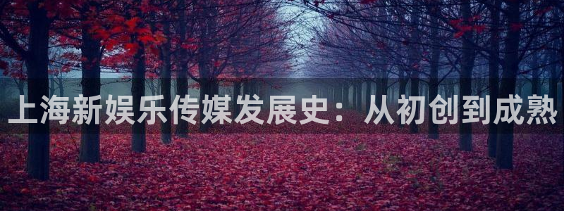永盈风扇灯：上海新娱乐传媒发展史：从初创到成熟