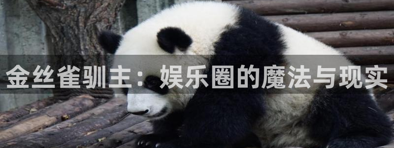 天津市永盈印刷有限公司：金丝雀驯主：娱乐圈的魔法与现实