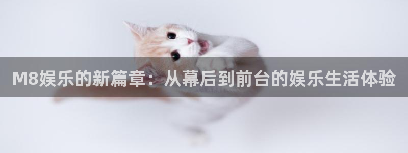 佛山永盈陶瓷有限公司：M8娱乐的新篇章：从幕后到前台的娱乐生活体验
