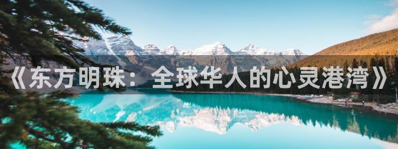 诚达永盈：《东方明珠：全球华人的心灵港湾》