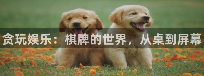 永盈棋牌69066mooc：贪玩娱乐：棋牌的世界，从桌到屏幕