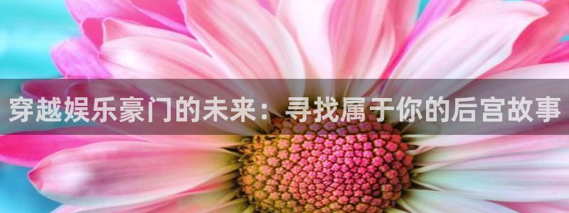 永盈棋牌3622mooc：穿越娱乐豪门的未来：寻找属于你的后宫故事