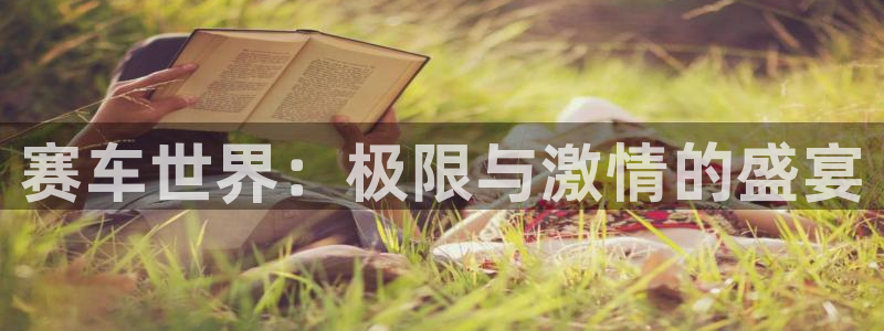 东莞市永盈玩具科技有限公司：赛车世界：极限与激情的盛宴